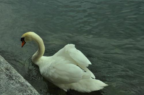 DSC_1127.JPG