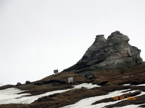 DSC01010.JPG