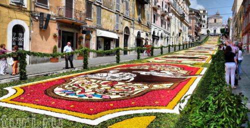 infiorata_fest.jpg