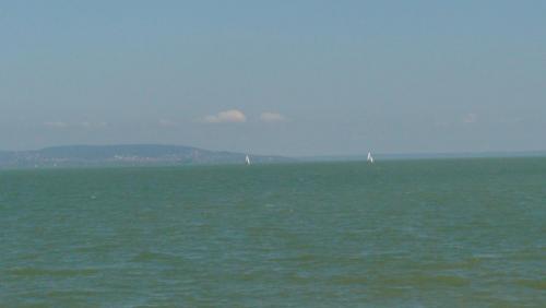 DSC04850.JPG