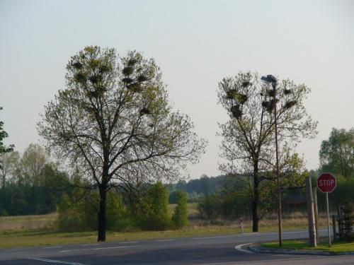 DSC01565.JPG
