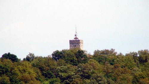 DSC02105.jpg