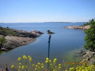 IMG_64831.JPG