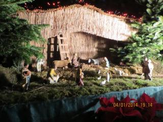 IMG_1398.JPG