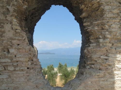 IMG_8890.JPG