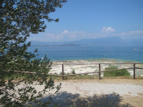 IMG_8875.JPG
