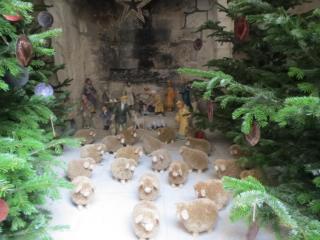 IMG_0705.JPG