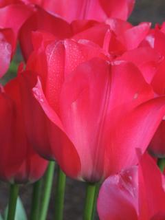 DSCN1106.JPG