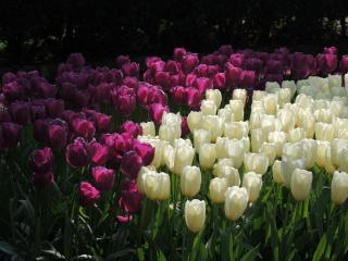 DSCN1323.JPG
