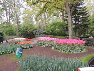 DSCN1061.JPG