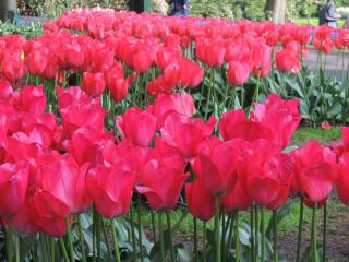 DSCN1104.JPG