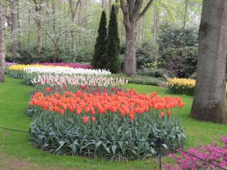 DSCN1068.JPG