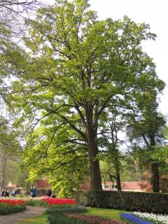 DSCN1301.JPG