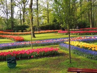 DSCN1119.JPG