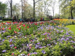 DSCN1409.JPG