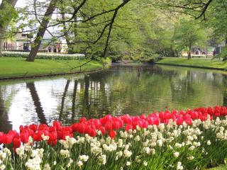 DSCN1169.JPG