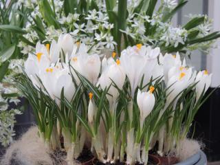 DSCN1242.JPG