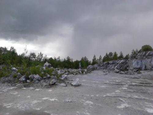 IMG800.jpg