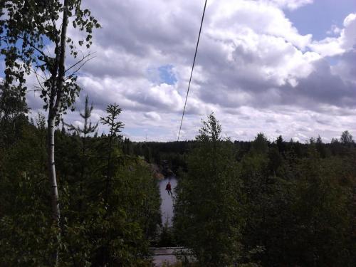 IMG794.jpg