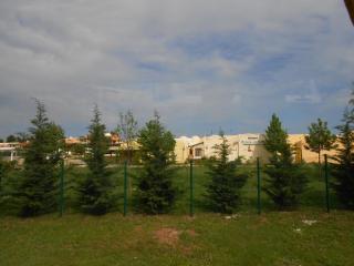 сТТВ 334.jpg