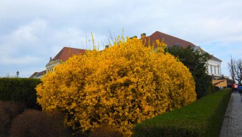 DSCF0570.JPG