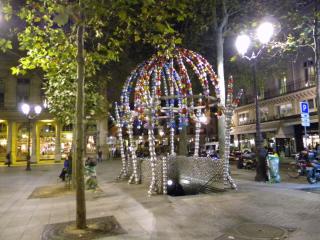 DSCN1779_16251.JPG