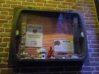DSCN0486_15085.JPG