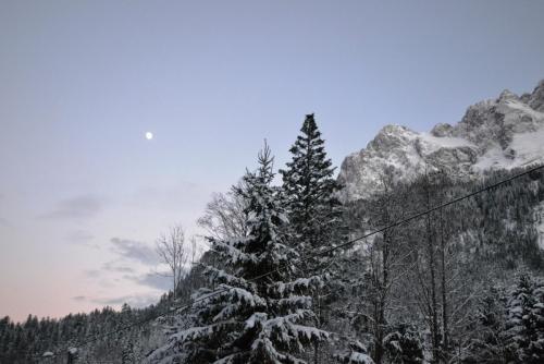 DSC_7783.JPG
