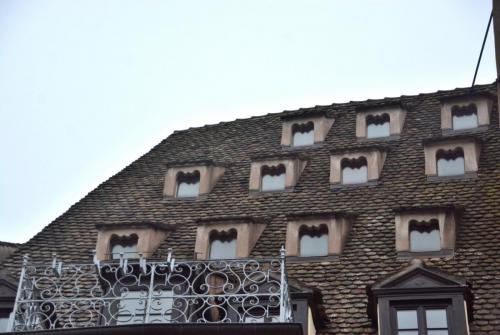 17.JPG