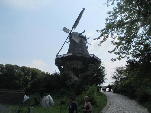 IMG_6590.JPG