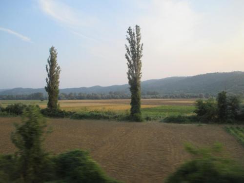 IMG_8141.JPG
