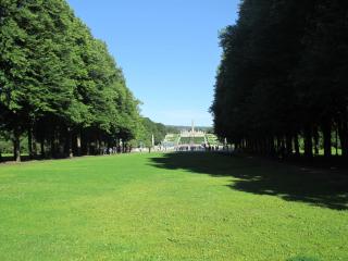 IMG_1561.JPG