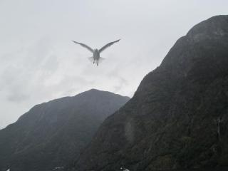 IMG_1467.JPG