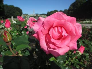 IMG_1582.JPG