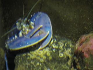 IMG_1045.JPG