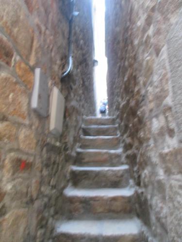 IMG_5885.JPG