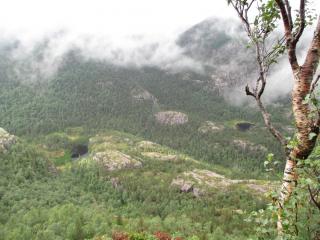 IMG_0728.JPG