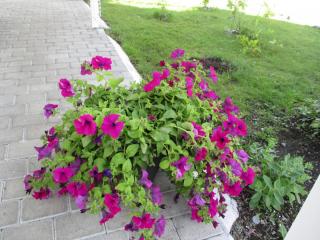 IMG_1501.JPG