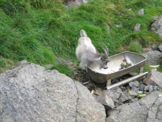 IMG_0702.JPG