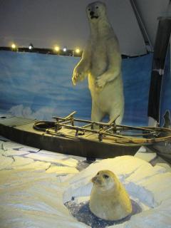 IMG_1627.JPG