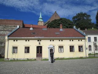 IMG_1596.JPG
