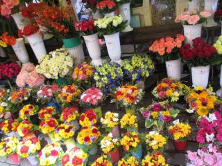IMG_1965.JPG