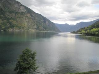 IMG_1341.JPG