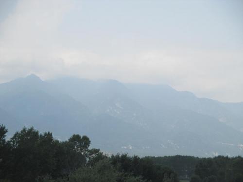 IMG_8192.JPG