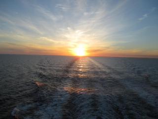IMG_1911.JPG