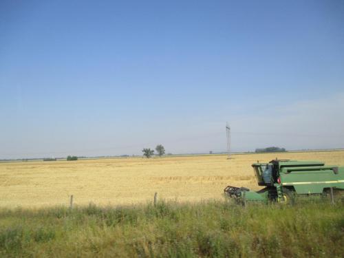 IMG_7983.JPG