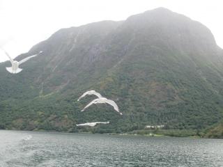 IMG_1458.JPG