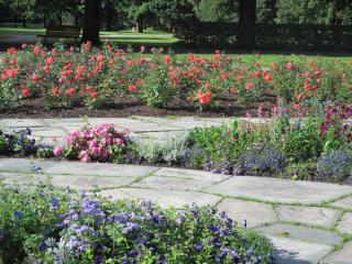 IMG_1579.JPG