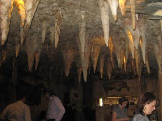 IMG_1390.JPG