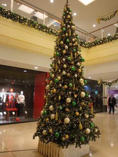 DSC05572.JPG